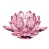 Lotusblomma rosa, glas 10cm
