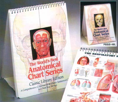 Bldderblock anatomi och patologi 52 bilder