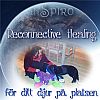 Reconnective Healing fr ditt djur, utbildad av dr Eric Pearl
